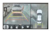 G13157769
