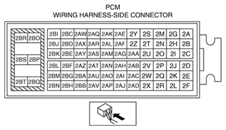G13173753