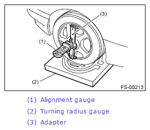 G13248620