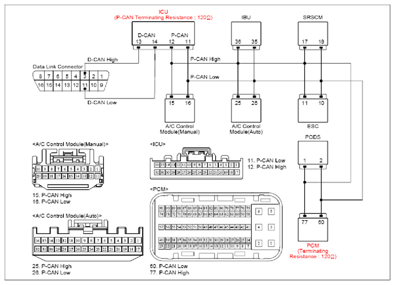 G13299352