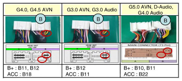 G13305623