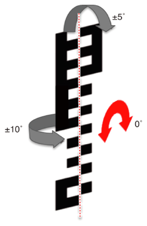 G13312855