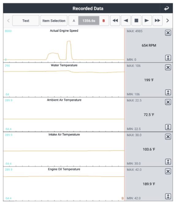 G13333884