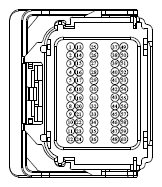 G13342494