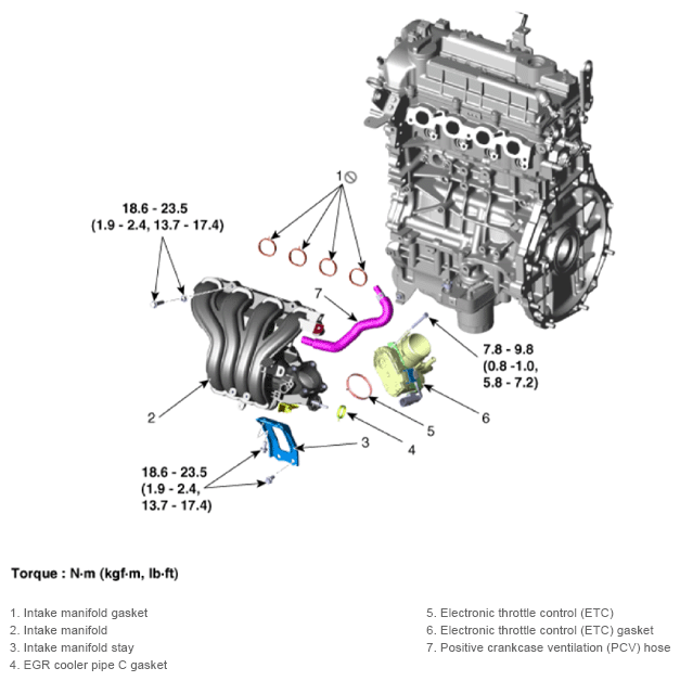 G13348396
