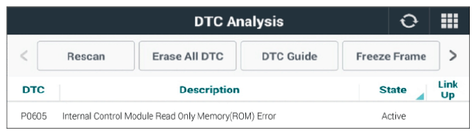 G13372396