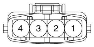 G13388056