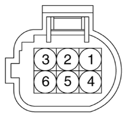 G13388131