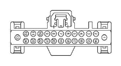 G13419172