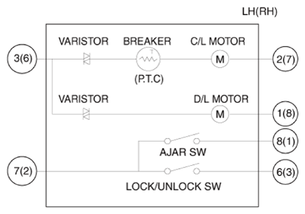 G13423675
