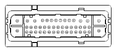 G13435419