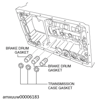 G13489344