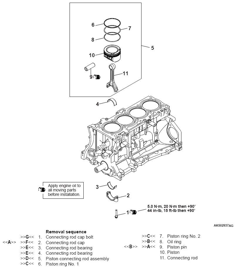 G13495479