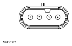 G13533244