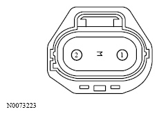 G13533298