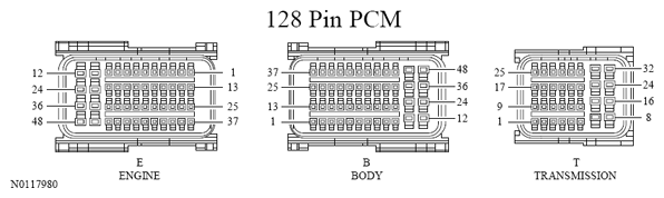 G13533406
