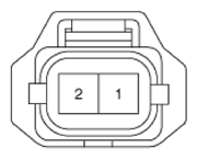 G13543381