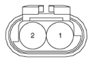 G13543394