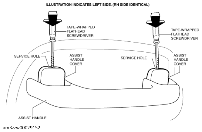 G13560620