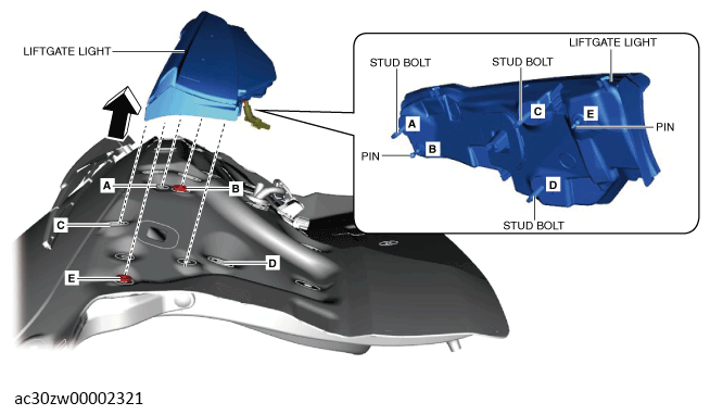 G13560881