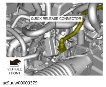 G13569797