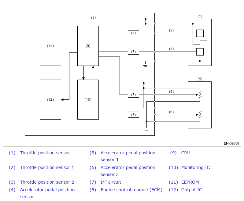 G13614697