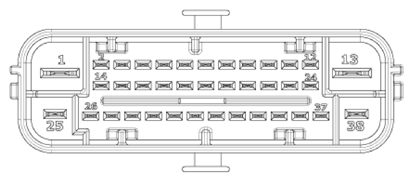 G13705519