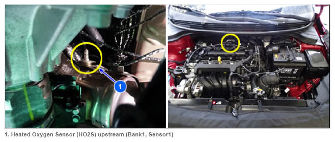 G13709208