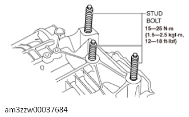 G13713061