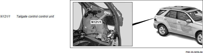G14136710