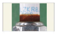 G14937311