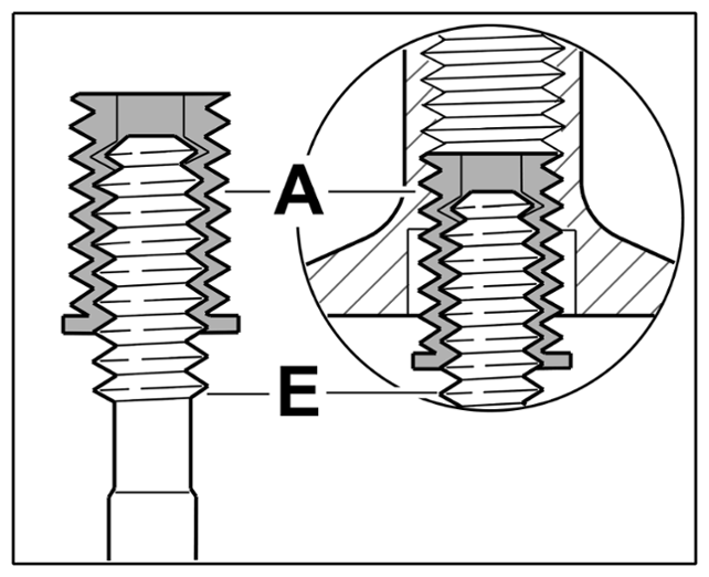 G14953695