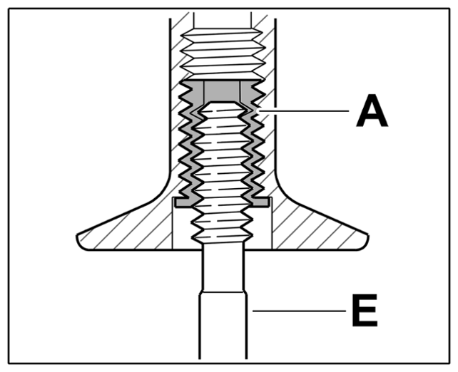 G14953698