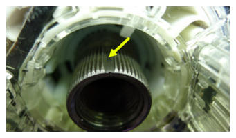 G15411192
