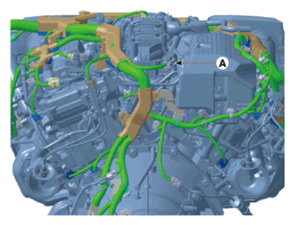 G15555468