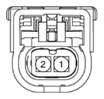 G15556989