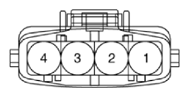 G15591431