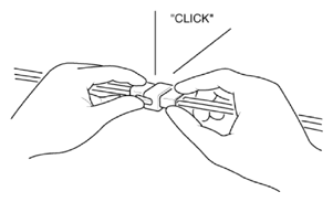 G16176816