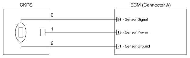 G16545607