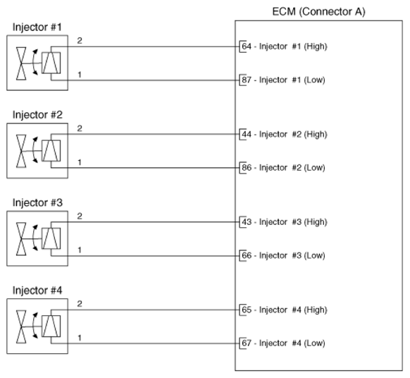 G16545660