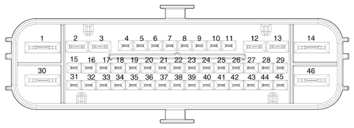 G16831384