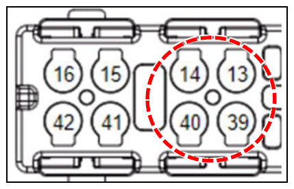 G17037323