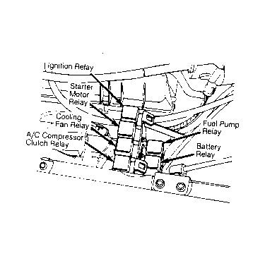 G53448