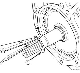 GC0082981