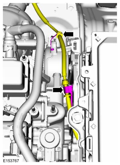 GFD13434