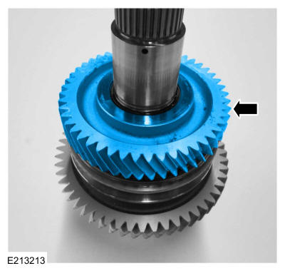 GFD301310