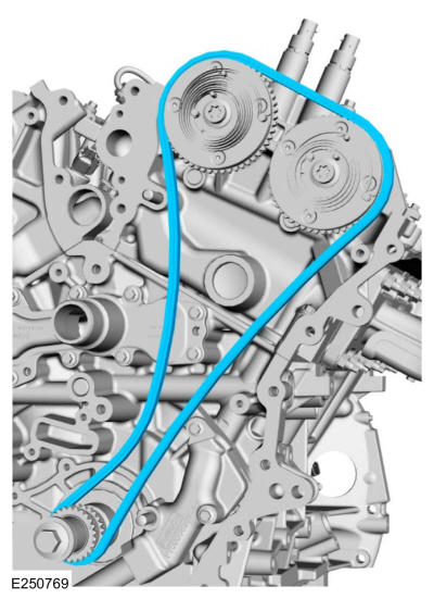 GFD344820