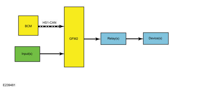 GFD568055