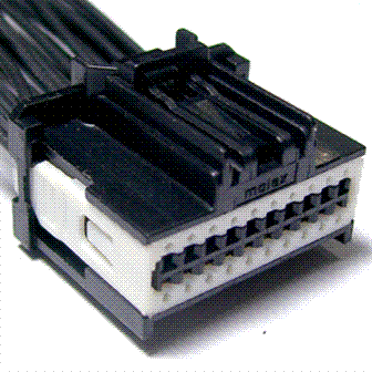 GFDW101666