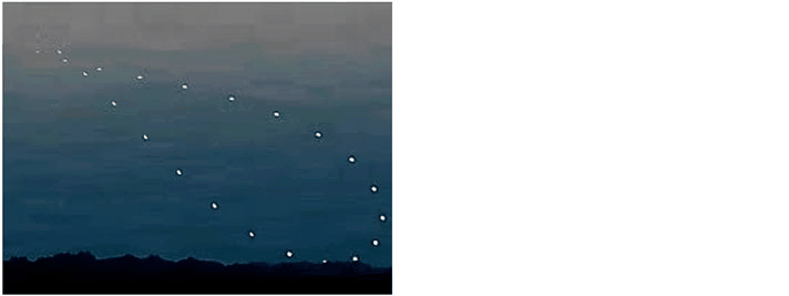 GLL1014225